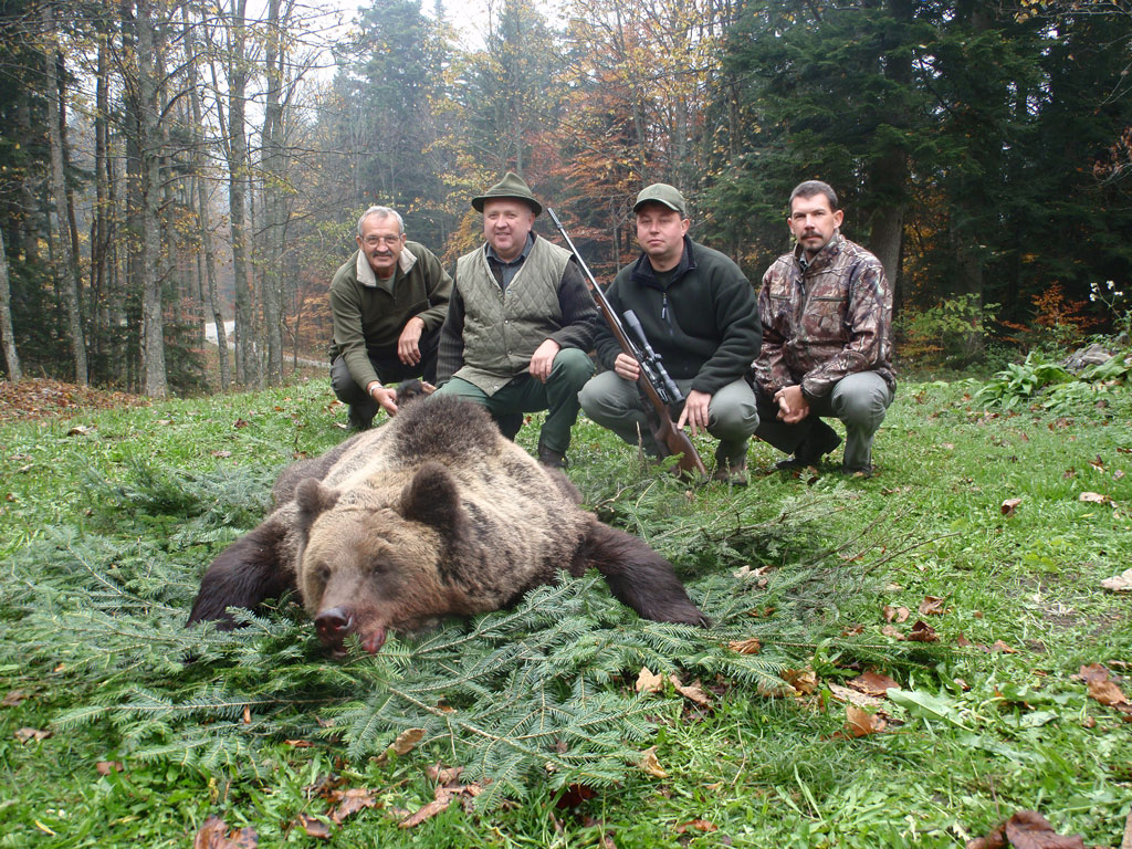 Spring and Fall hunts are available in Croatia for Eurasian brown bears.