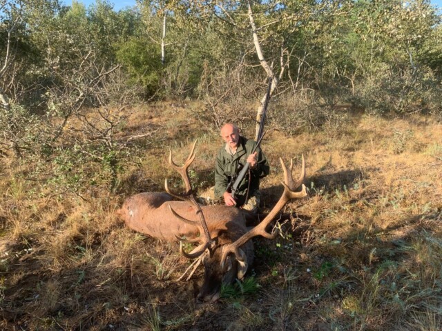 Red Stag Hunting in Hungary HHH