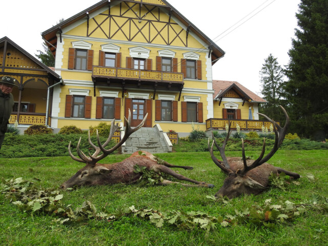 Hungary South West Hunting Estate HHH