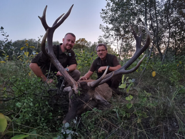Red Stag Hunting in Hungary HHH