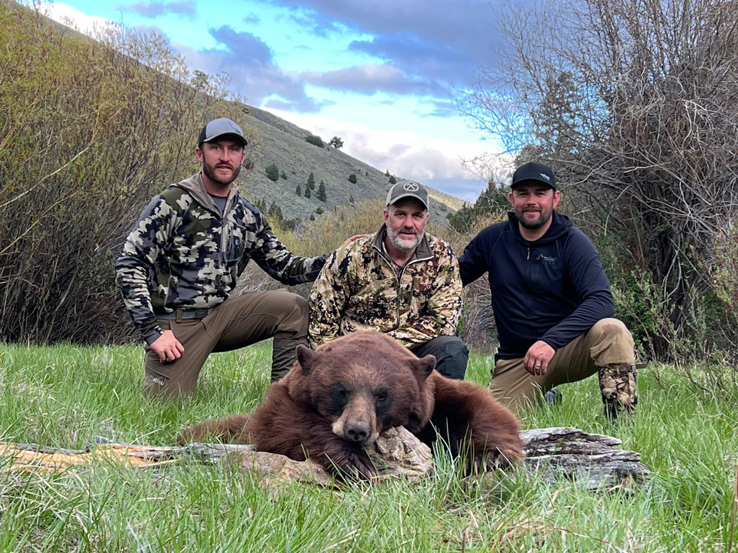 Montana black bear hunt