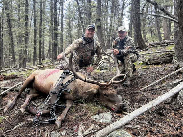 Idaho Archery Elk Hunt with Redick Outfitters