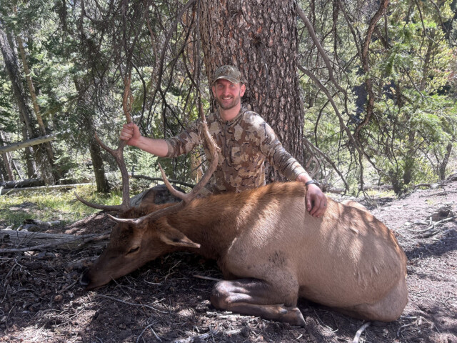 Idaho Archery Elk Hunt with Redick Outfitters