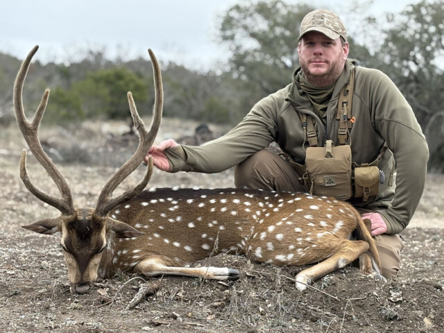 Hunter kneeling beside a spotted deer carcass in a dry, open field, wearing camouflage cap and tan hunting gear.